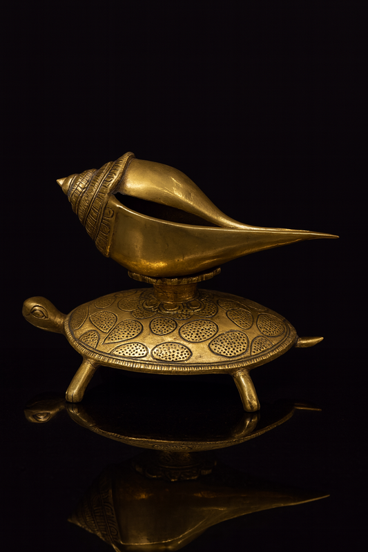 Vastu Conch Shankh and Turtle